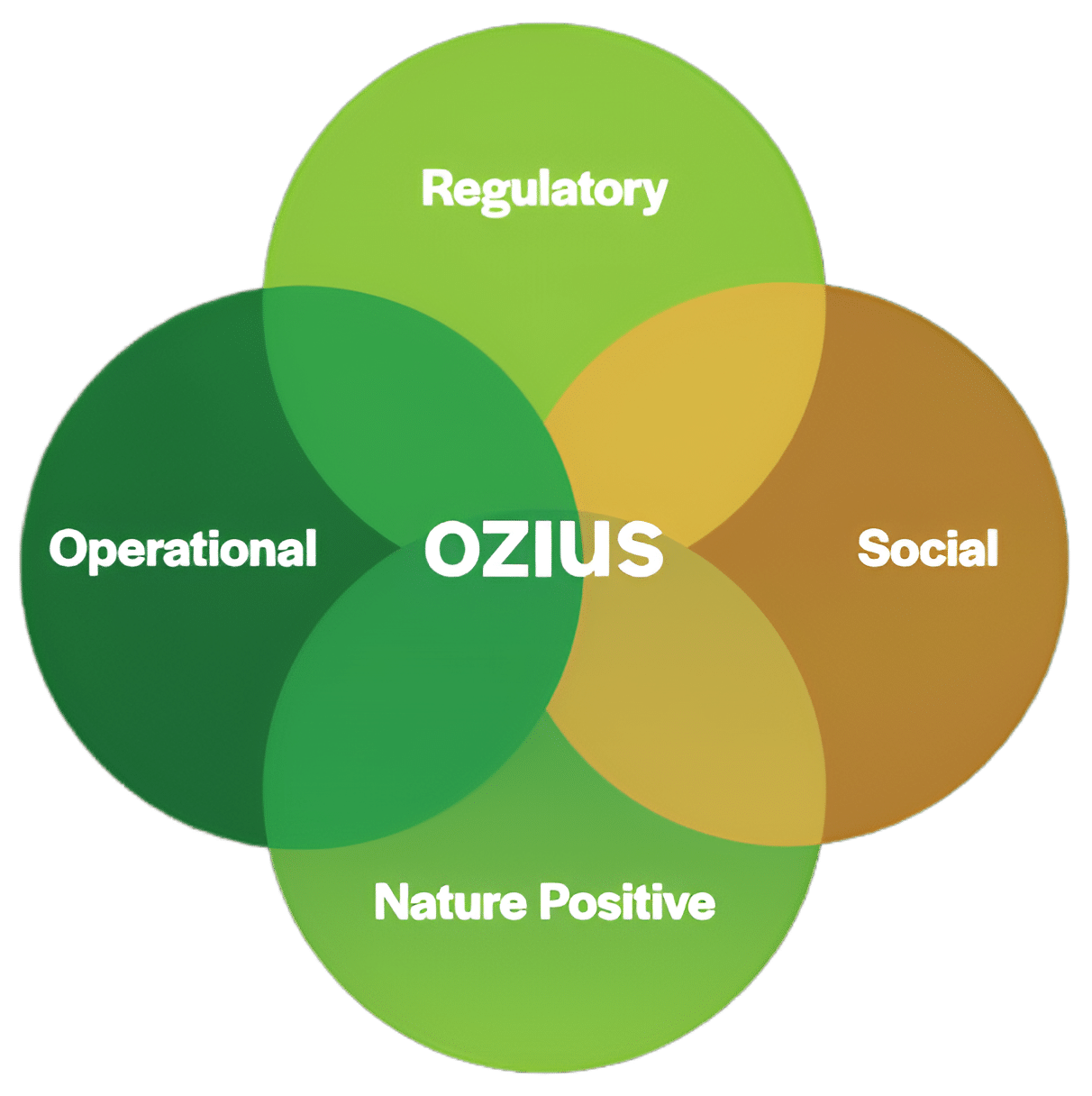ozius diagram-Picsart-AiImageEnhancer